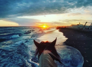 Paseo a caballo + almuerzo en la playa de Capocotta 4H