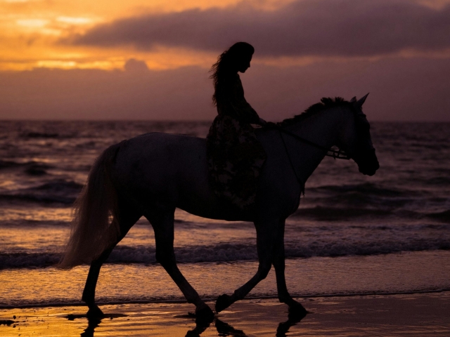  Paseo a la orilla del mar
