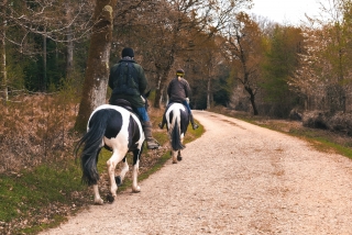 Paseo a caballo 3 horas Parque Maremma