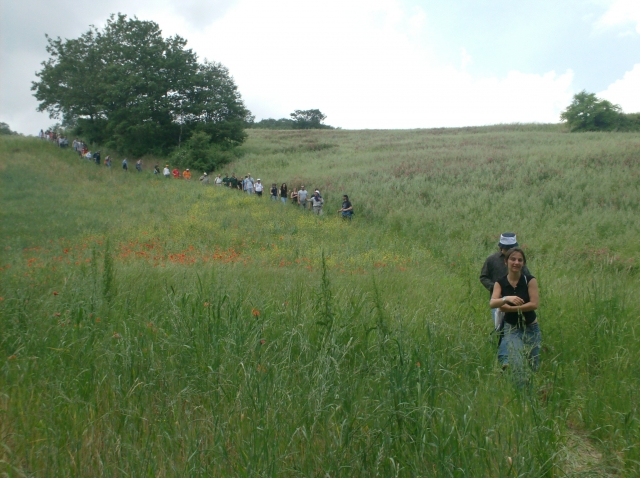  la naturaleza del valle