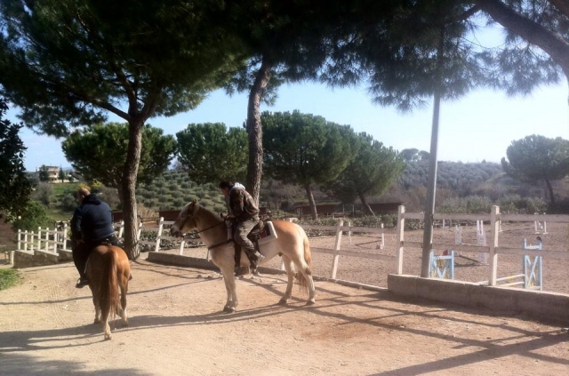 Uno de nuestros caballos