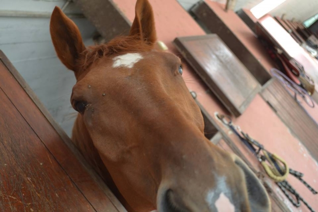 Cena romántica para dos