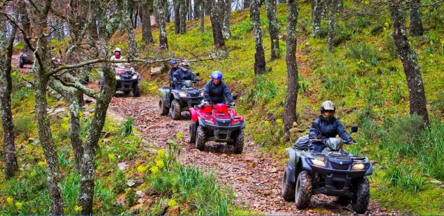 Por el bosque 