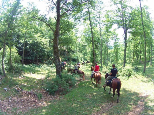  Bosques de Abruzzo 