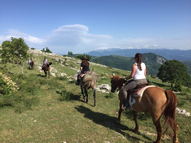  Excursión a caballo 