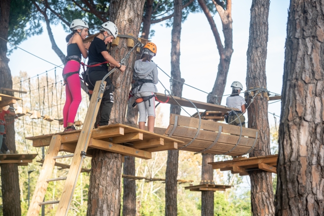 Superar los obstáculos entre al árvores 
