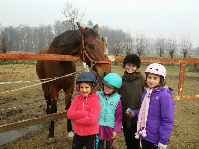  Los pequeños alumnos del establo