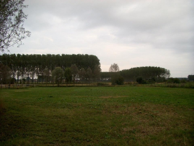  Campo de hierba