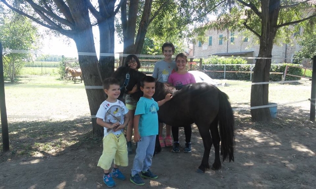  Pequeños jinetes 