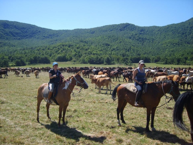  Subir en Molise 