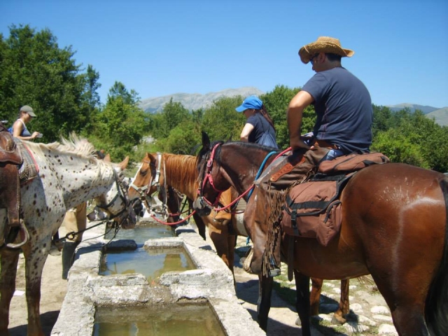 Estancia para caballos y jinetes 