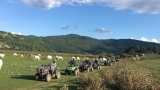 Excursión en cuatrimoto a Castel di Sangro 2H