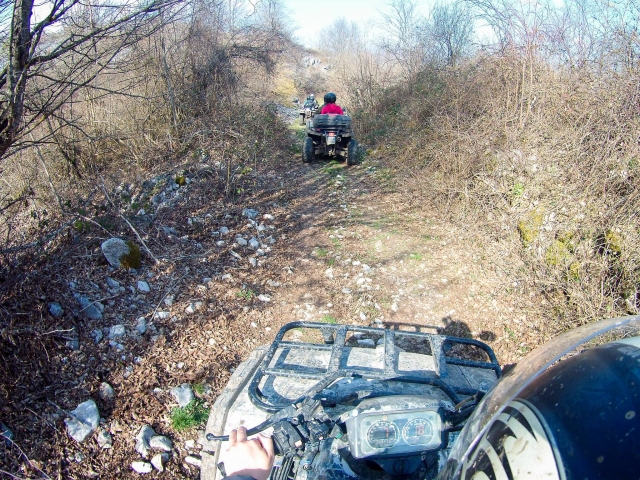 Ruta en cuatrimoto por el bosque 