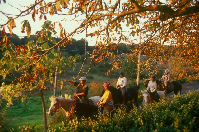 Pbaños a caballo en el Oasis Natural