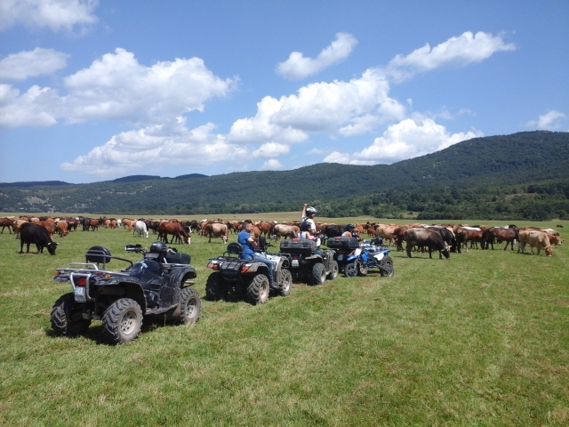  Excursiones en cuatrimoto 