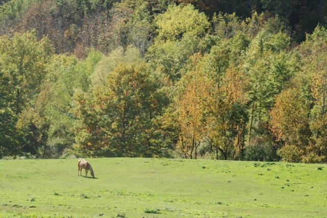  Subir en la Maremma 