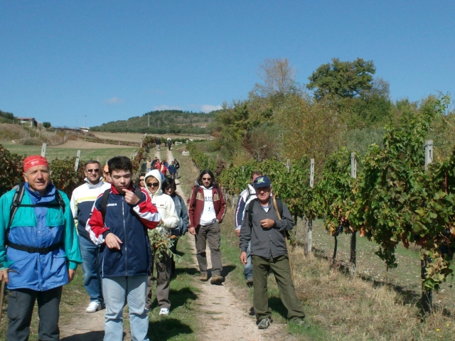  camicrema guiada el 13 de octubre 
