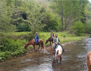 Paseo nocturno a caballo y cena en Sorano 6 horas