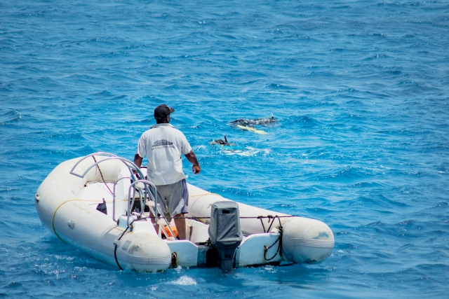 Nuestros instructores 