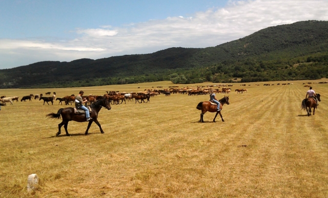  Rancho brionna San Valentín 