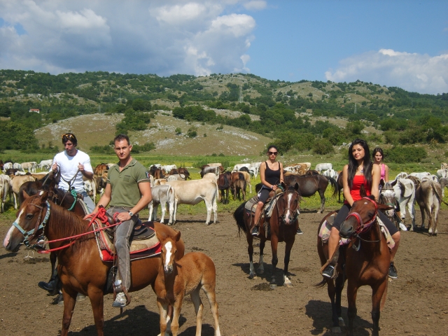 Caballos gratis en el valle del Rodeo 