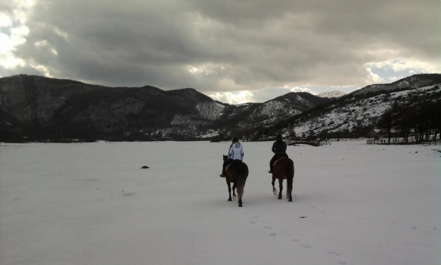  Caballo y nieve 