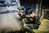 Oferta de Grupos de Gotcha para todo el 2013
