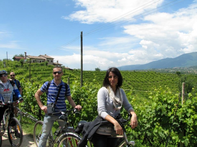 bodegas abiertas slow bike 13 