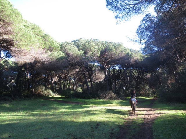 Paz y serenidad 
