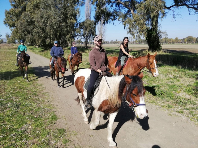  En el camino 