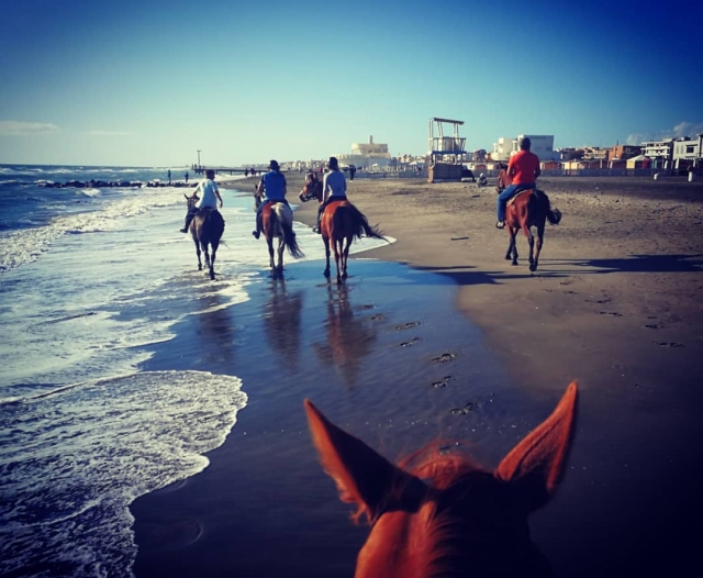  A lo largo de la costa 