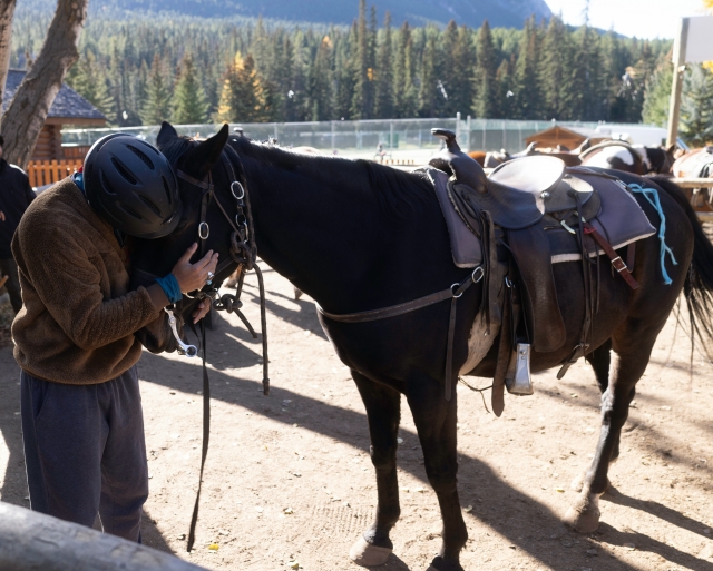 excursiones a caballo Maremma