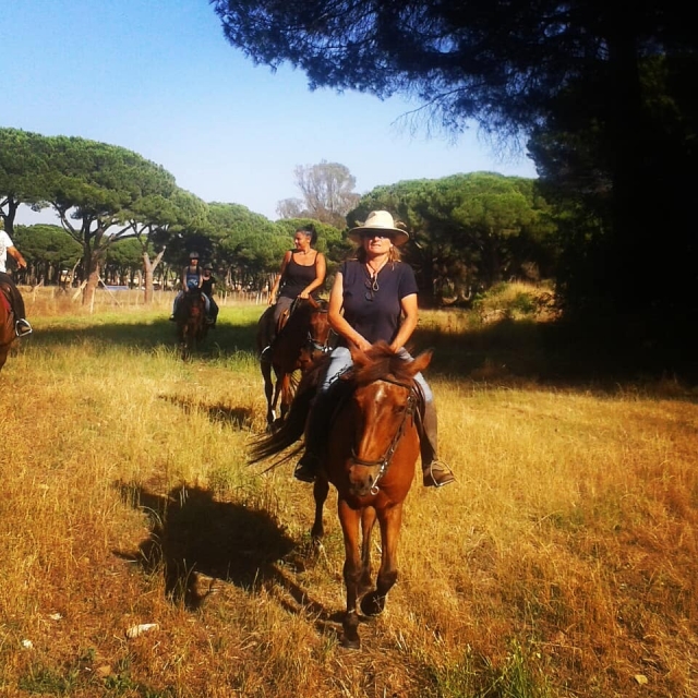  Cabalgar libremenle 