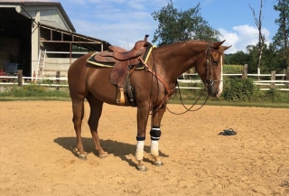 Curso de equitación para niños Turín