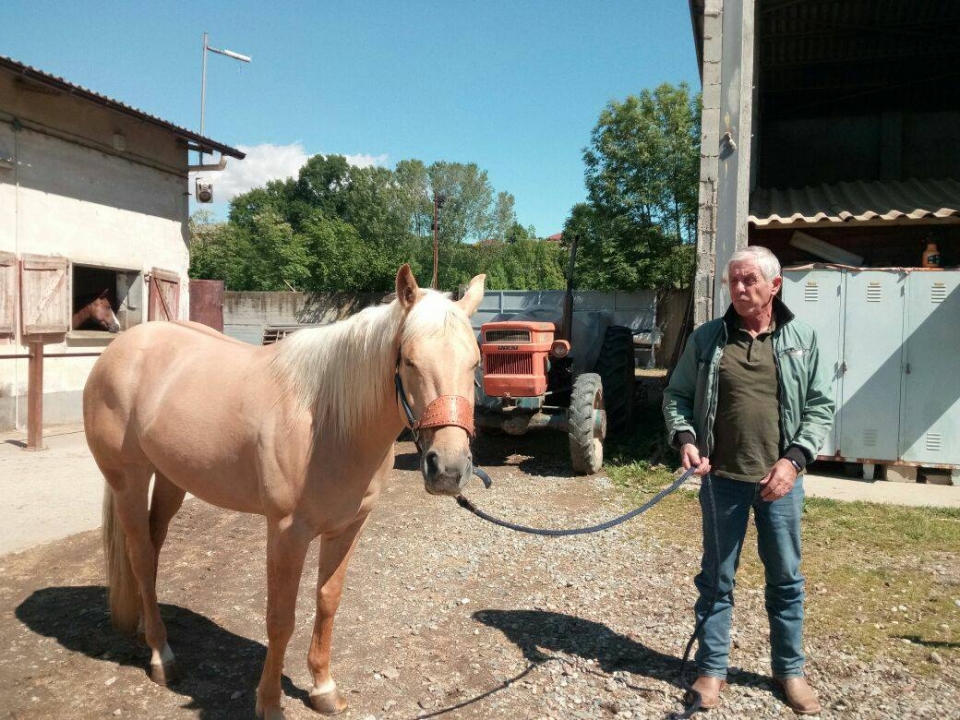 Uno de nuestros dóciles animales 