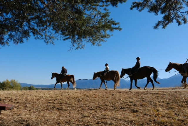  Paseo a caballo Argentario
