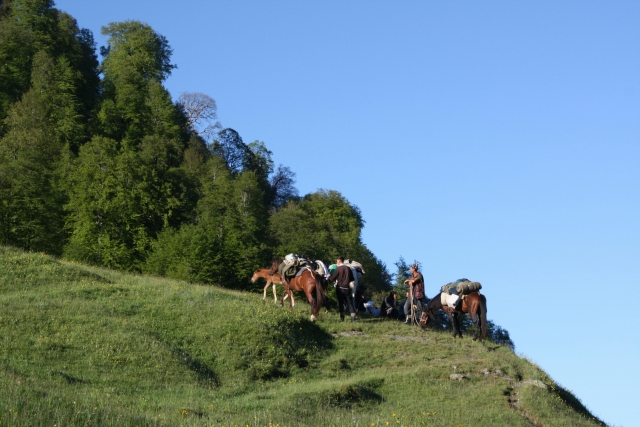 Excursión con nuestros caballos