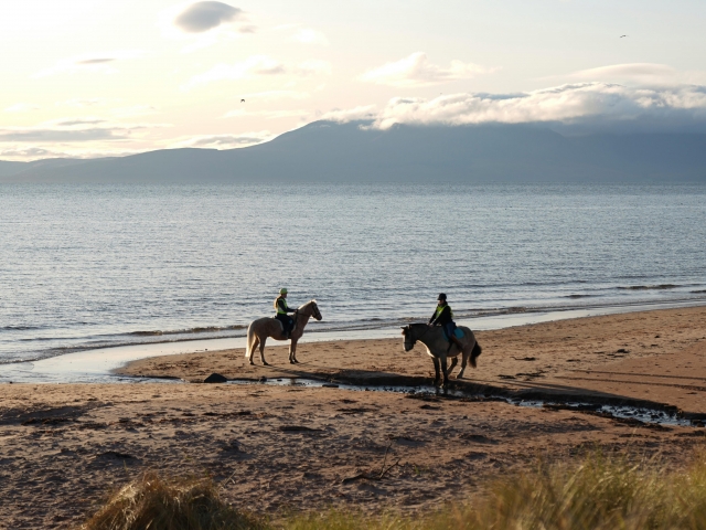 Paseo sobre la arena 