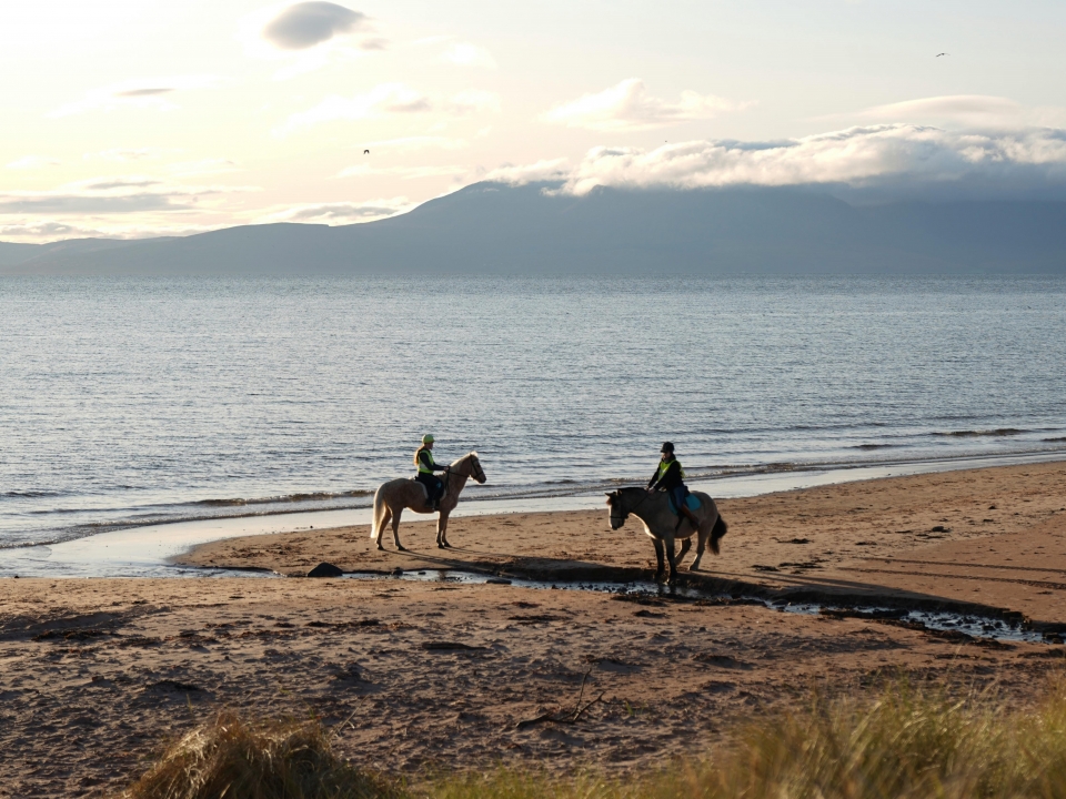 Paseo sobre la arena 