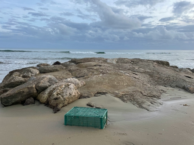  La playa desde donde partiremos para la inmersión.