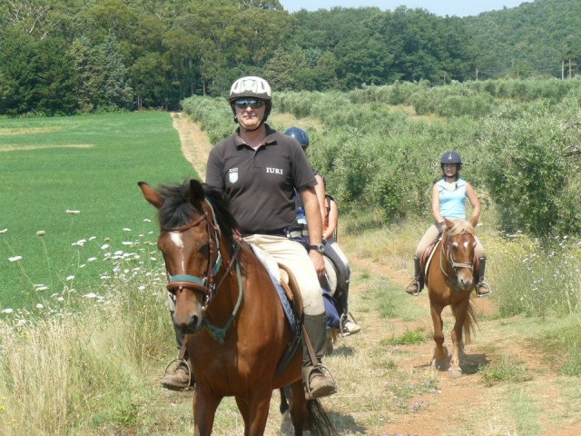 Paseo a caballo 