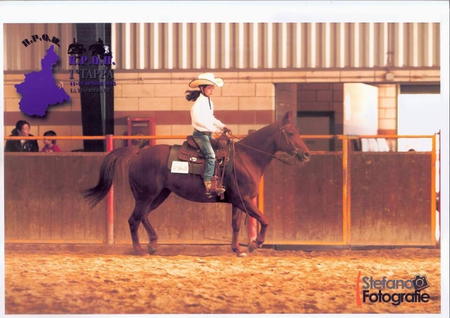  Caballo árabe 