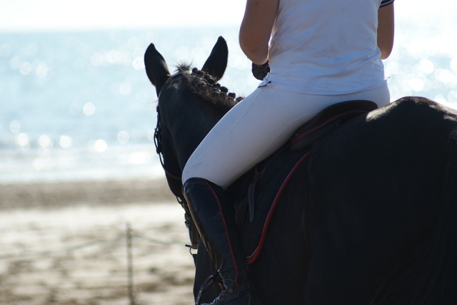 a la orilla del mar con el caballo 