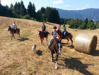 Paseo a caballo en los Dolomitas de Feltrine 1 hora