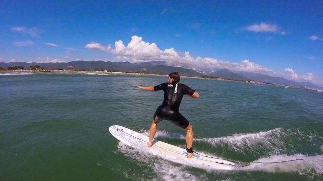 posición en la tabla 