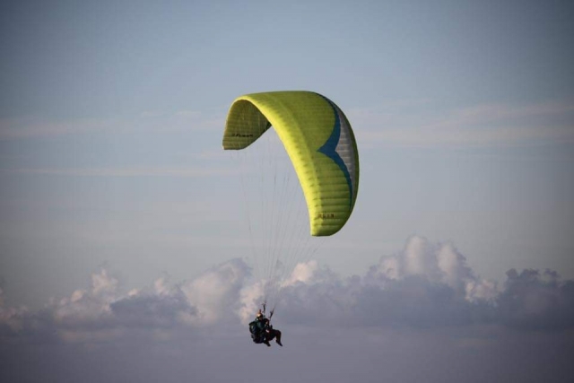 parapenle 