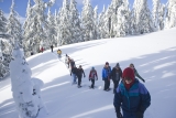 Paseo con raquetas de nieve de 2 horas en Bardonecchia