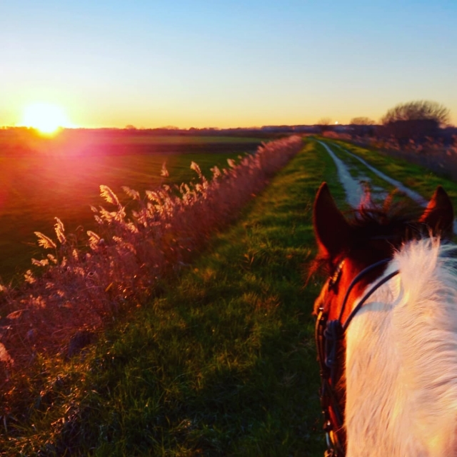  Al atardecer 