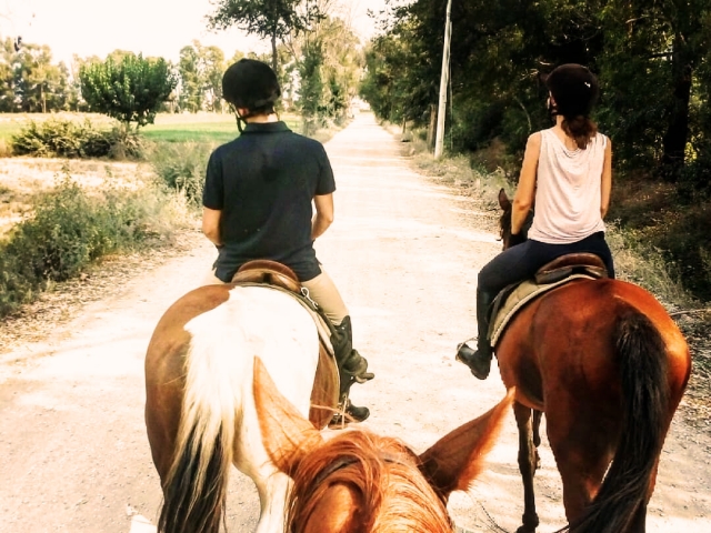  Un paseo romántico 