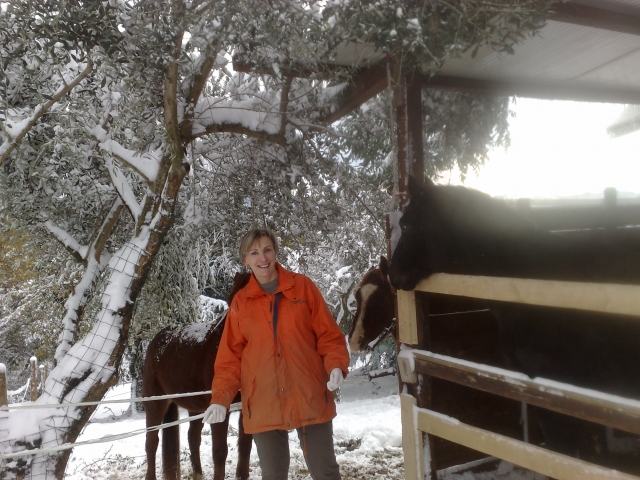 Inmerso en la nieve 